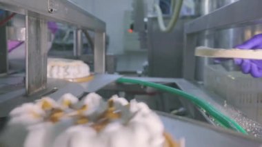 Dondurmalı pasta yapıyorum. Taşıyıcı banttaki kekler. Büyük otomatikleştirilmiş kek üretimi. Gıda üretimi