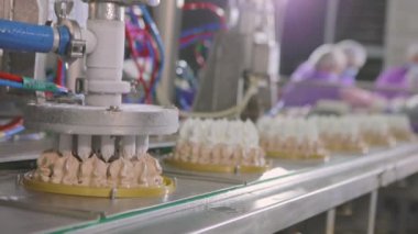 Dondurmalı pasta yapmak için otomatik taşıyıcı. Otomatik dondurma üretimi. Dondurma tüplerden çıkarıldı.