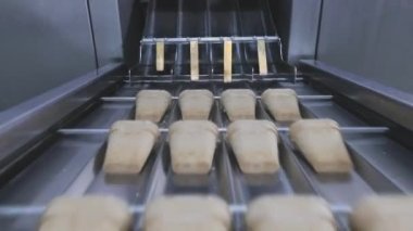 Dondurma üretimi. Otomatik taşıyıcıda dondurma üretimi.