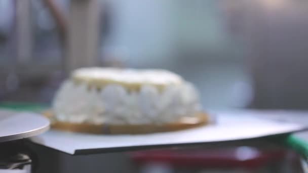 Making an ice cream cake. Cakes on a conveyor belt. Large automated production of cakes. Food production — 비디오