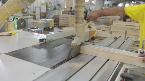 Automatiserad sågning av trästockar. En automatiserad maskin sågar en träbit. Automatiserad produktionslinje för möbler — Stockvideo