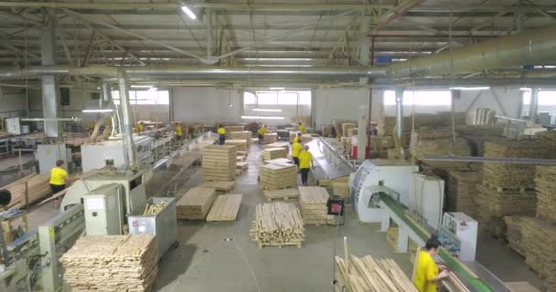 Die Leute arbeiten im Laden. Werkstatt für die Herstellung von Möbelplatten. Industrieller Innenraum. Werkstatt für Möbelherstellung — Stockvideo
