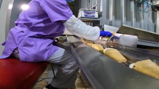 Produzione automatizzata di gelato. Linea di produzione automatizzata di gelati. Produzione di gelato. — Video Stock