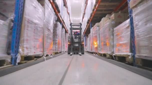 Warehouse work. A worker on a forklift will perform work in a warehouse. Large modern warehouse. — Video