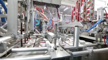 Dondurma fabrikası. Modern otomatikleştirilmiş dondurma üretim hattı. Dondurma üretim hattı