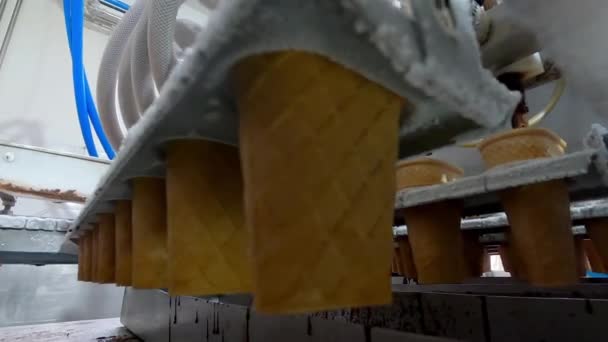 Waffle cone for ice cream. Ice cream production. Conveyor at the ice cream factory — 비디오