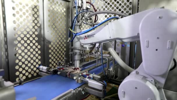 Helado Producción robótica. Moderna línea de producción automatizada de helados. Fábrica de helados. Línea de producción de helados. Robot de producción. — Vídeo de stock