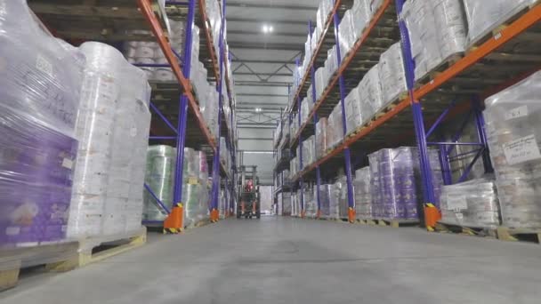 Large modern warehouse with goods without people. The camera moves through the factory warehouse. Modern warehouse, industrial interior — Vídeos de Stock