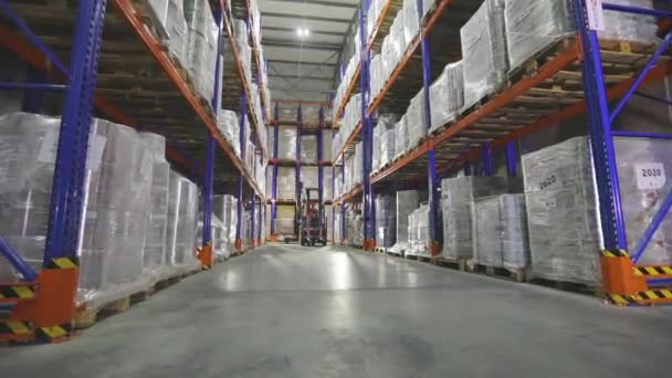 Forklift in the warehouse. The forklift is driving through the warehouse of the factory. Modern warehouse. Large warehouse in the factory. Warehouse work — Video