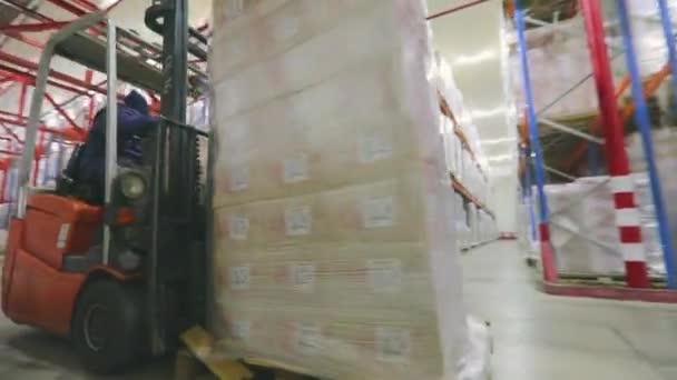 Large warehouse in the factory. The forklift is driving through the warehouse of the factory. Modern warehouse.Warehouse work — Video