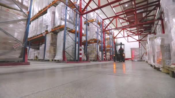 A worker on a forklift will perform work in a warehouse. Large modern warehouse. Warehouse work — Video