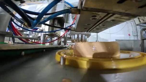 Автоматизированное производство мороженого. Автоматическая линия по производству мороженого. Производство мороженого. — стоковое видео