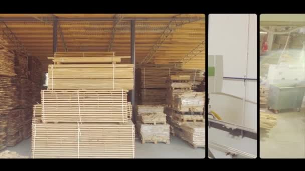 Große Holzverarbeitungsfabrik. Holzbearbeitungs-Collage. Moderne Holzbearbeitungsfabrik. Holzcollage. — Stockvideo