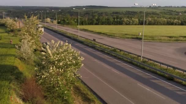 Røde valmuer nær motorveien. En lastebil kjører i bakgrunnen. – stockvideo