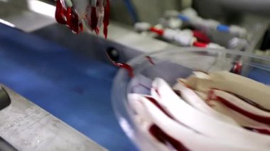 Dondurma üretimi yakın plan. Otomatik dondurma üretimi. Otomatik dondurma üretim hattı