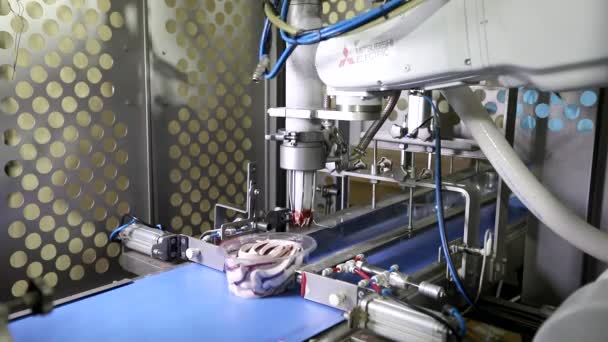 Modern automated ice cream production line. Ice cream factory. Ice cream production line — Stock Video