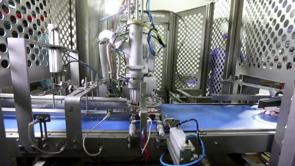 Modern production of ice cream. Automated conveyor in a factory. Modern technology at the ice cream factory — Stock Video