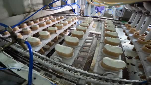 Мороженое после замерзания на заводе. Процесс производства мороженого. Изготовление мороженого в чашке на заводе. — стоковое видео
