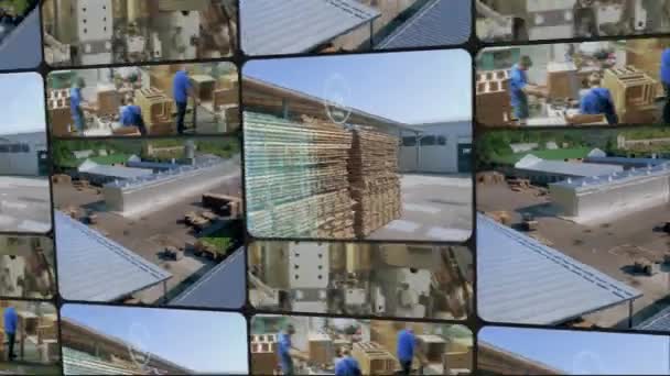 Rahmen einer holzbearbeitenden Fabrikcollage. Holzcollage. Große Holzverarbeitungsfabrik — Stockvideo