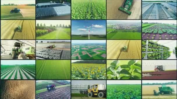 Ukrainian agriculture. Processing of Ukrainian farm fields. Agriculture split screen video. Modern agriculture. — Vídeo de stock