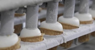 Dondurma üretimi. Otomatik dondurma üretimi. Otomatik dondurma üretim hattı