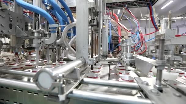 Modern technology at the ice cream factory. Modern production of ice cream. Automated conveyor in a factory. — Stockvideo