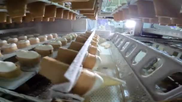 Helado después de congelarse en la fábrica. Proceso de producción de helados. Hacer helado en una taza en la fábrica. — Vídeos de Stock