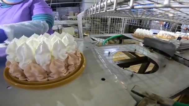 Pastel en la línea transportadora. Producción de pasteles. Producción de pasteles en una fábrica moderna. El proceso de creación automática de pasteles — Vídeos de Stock