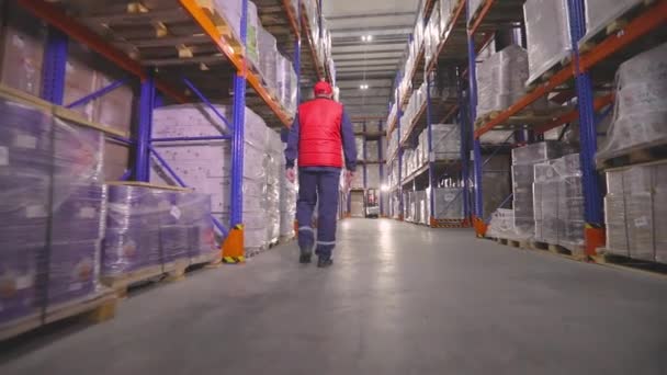 En man går genom lagerlokalerna. En arbetare går genom ett modernt lager. Magasinering — Stockvideo