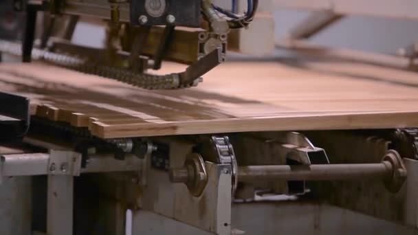 Zpracování polotovarů dřeva na dopravníkové lince. Automatizovaná výrobní linka v moderní výrobě — Stock video