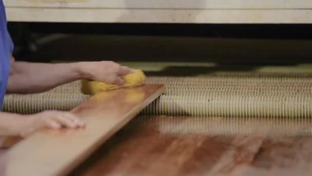 Una donna dipinge prodotti in legno in una fabbrica di mobili. Verniciatura per mobili. Verniciatura manuale — Video Stock