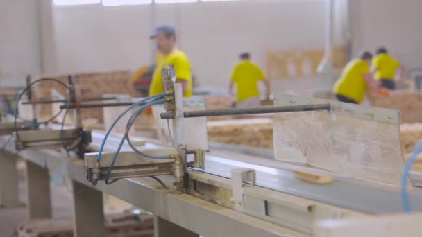 Pracovní proces v továrně na nábytek. Lidé pracují na pásovém dopravníku továrny na nábytek — Stock video