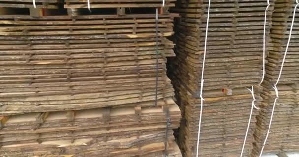 Сушка сирої деревини в спеціальній камері на заводі. Сушка деревини з високими температурами в спеціальній камері — стокове відео