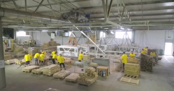 Industriell inredning. Möbelmonteringsverkstad. Produktionsverkstad vid möbelfabrik. — Stockvideo