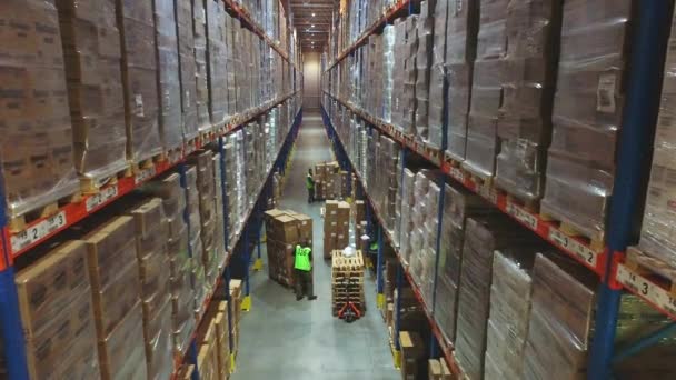 Mensen werken in een magazijn. Werken met een modern magazijn. Werknemers verplaatsen kartonnen dozen in een magazijn — Stockvideo