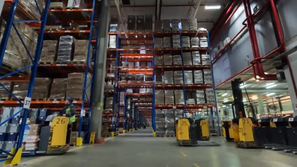 人々は大きな倉庫で働いています。近代的な倉庫でタイムラプス。人々は倉庫のタイムラプスで働く。近代的な倉庫で働く — ストック動画