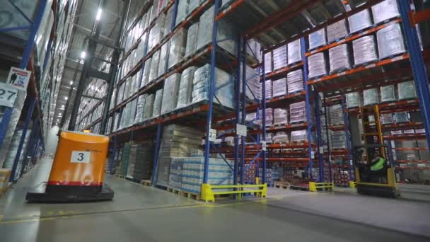 Magasinarbete. Moderna lastare i ett stort lager. Arbetsflöde i ett stort lager. Specialutrustning i fabrikens lager. — Stockvideo