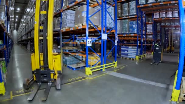 Aktivní práce ve skladišti. Moderní vysokozdvižný vozík pracuje ve skladu. Práce na speciálním vybavení ve skladu. průmyslový interiér. Vysokozdvižný vozík ve skladu. — Stock video