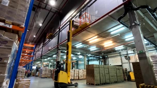 Two level warehouse. The forklift picks up a pallet from the second floor of the warehouse. Modern forklift in a warehouse — Vídeos de Stock