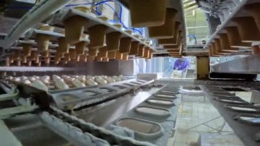 Dondurma üretim süreci. Fabrikada bir fincanda dondurma yapmak. Fabrikada donduktan sonra dondurma..