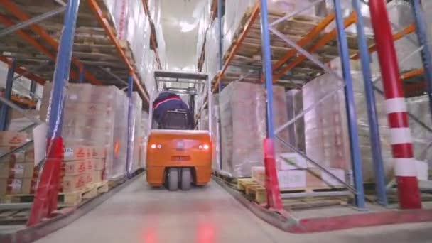 Velký sklad v továrně. Vysokozdvižný vozík projíždí skladištěm v továrně. Moderní sklad.Skladové práce — Stock video