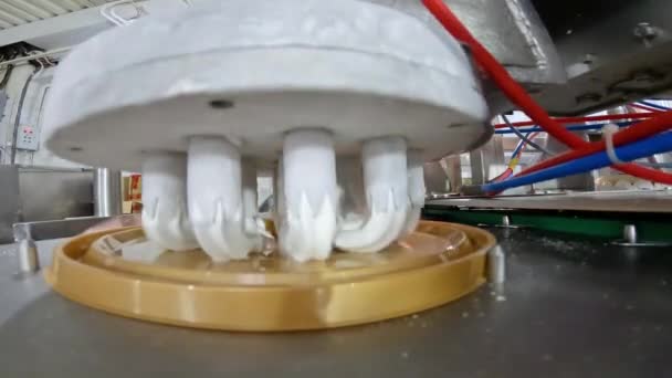아이스크림의 자동 제작. 아이스크림 케이크만드는 것을 자동화 한 컨베이어입니다. 튜브 밖으로 잘 짜낸 아이스크림 — 비디오