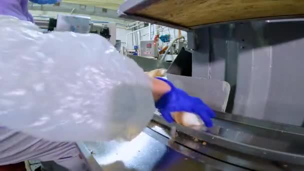 L'operaio stende il gelato sul trasportatore con le mani in ordine. Un operaio su un trasportatore stende un gelato. Produzione di gelato in fabbrica. — Video Stock