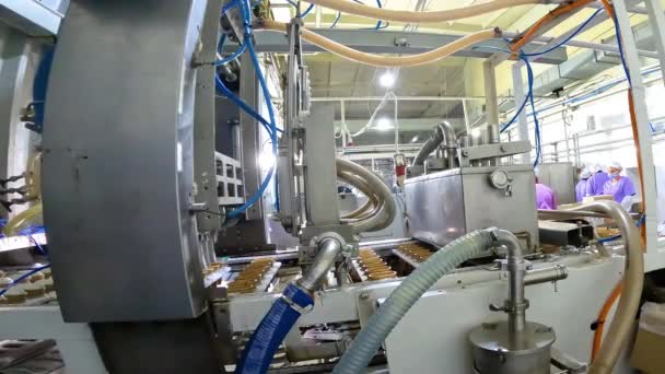 Un moderno trasportatore per la produzione di gelato. Linea di produzione gelato. Processo di produzione del gelato — Video Stock