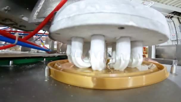 아이스크림의 자동 제작. 아이스크림 케이크만드는 것을 자동화 한 컨베이어입니다. 튜브 밖으로 잘 짜낸 아이스크림 — 비디오
