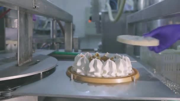 컨베이어 라인에 케이크. 케이크 생산. 현대 공장에서의 케이크 생산. 케이크를 자동으로 만드는 과정 — 비디오