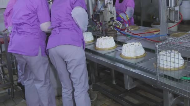 Making an ice cream cake. Cakes on a conveyor belt. Large automated production of cakes. Food production — ストック動画
