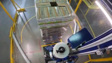 Plastik film kutularını paketliyorum. Kutu germe ambalaj makinesi. Palet ambalaj makinesi. Kutuları bir çemberde plastik bir filme sarmak için makine.