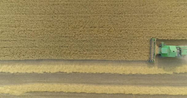 Grüner Mähdrescher aus der Sicht der Felddrohne. Blick von oben auf einen Mähdrescher bei der Weizenernte. Weizenernte — Stockvideo