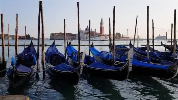 Gandolas balancent sur les vagues dans le canal de Venise. Gondoles touristiques ancrées dans le canal de Venise. Venise, Italie — Video